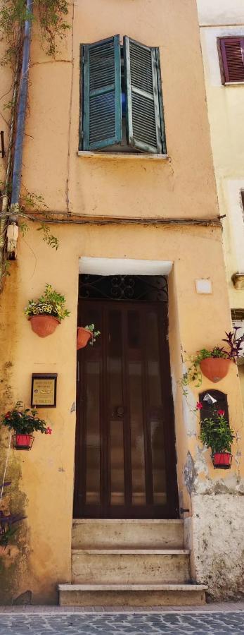 Ferienwohnung Affitto Turistico - La Terrazzina Monterotondo  Exterior foto