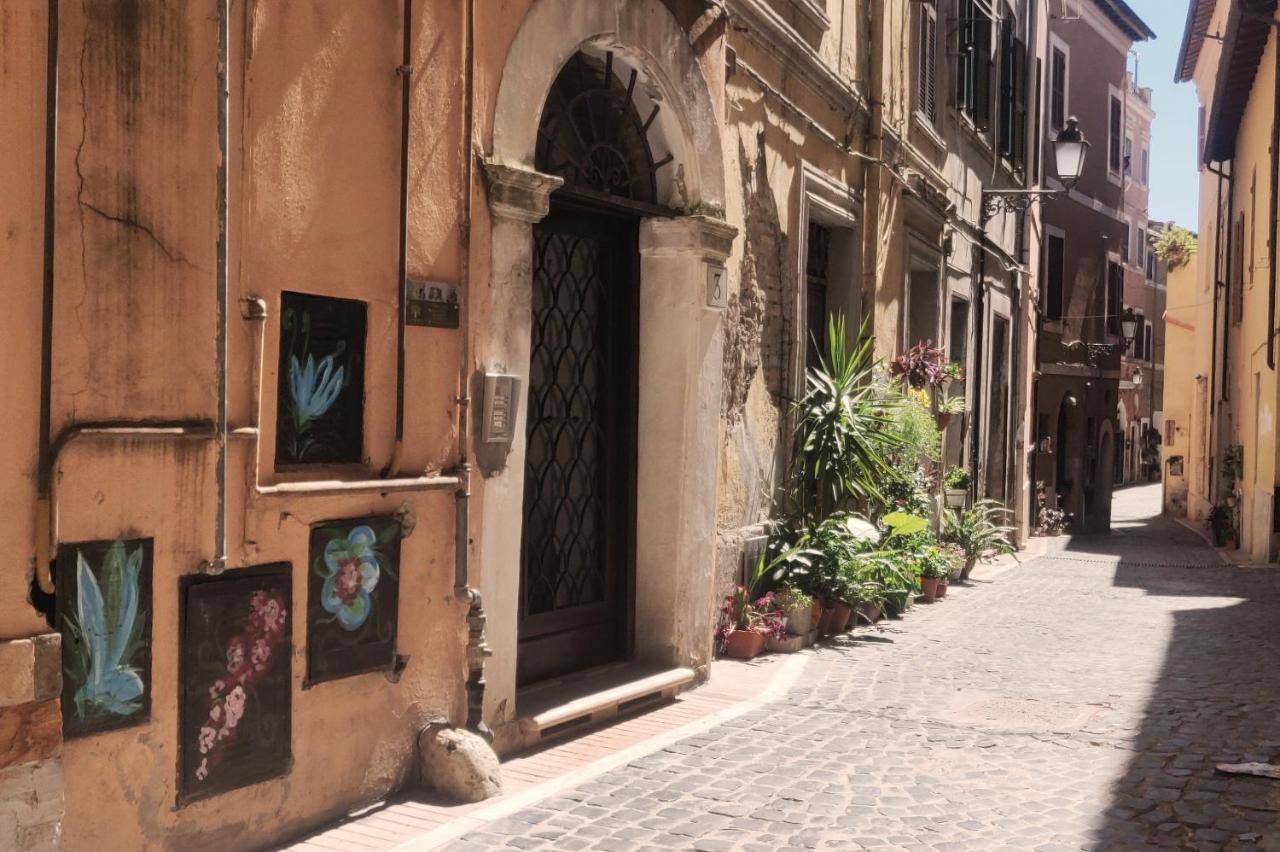 Ferienwohnung Affitto Turistico - La Terrazzina Monterotondo  Exterior foto